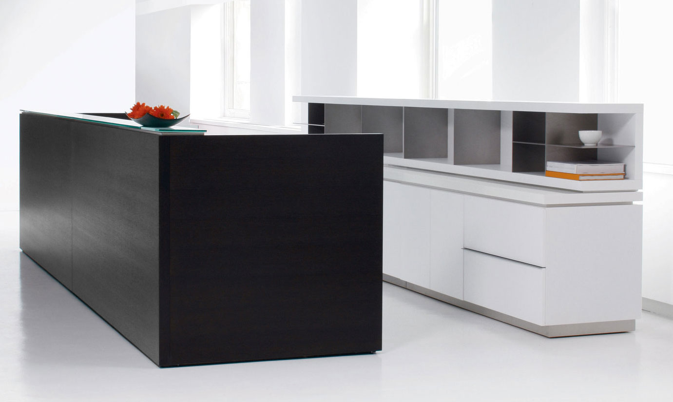 #REC-71 Modern Desk with Contrasting Finishes 
